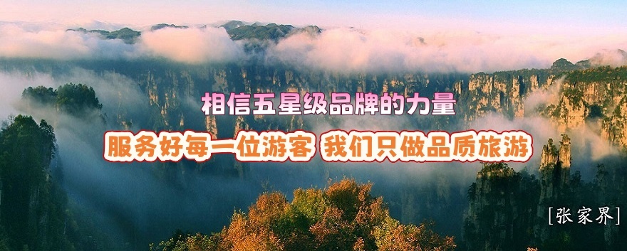 張家界中國(guó)旅行社連續(xù)榮膺“五星級(jí)旅行社”